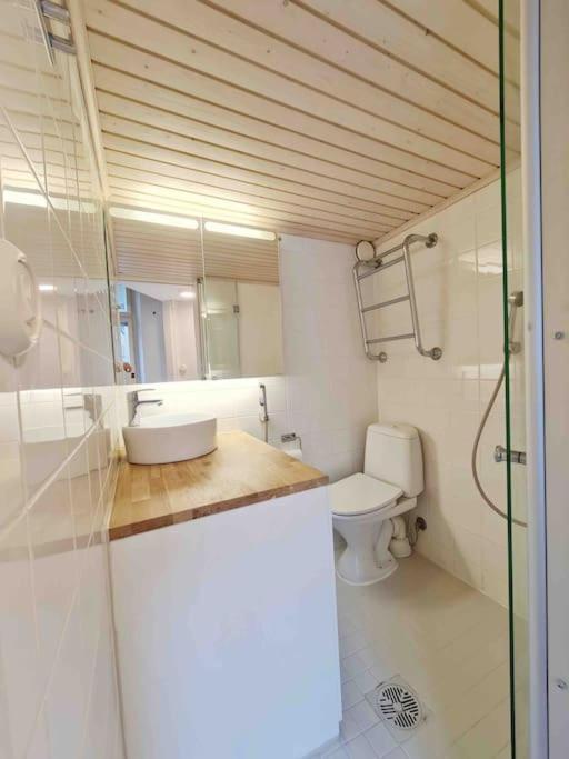 Stylish Studio In Downtown Хелзинки Екстериор снимка